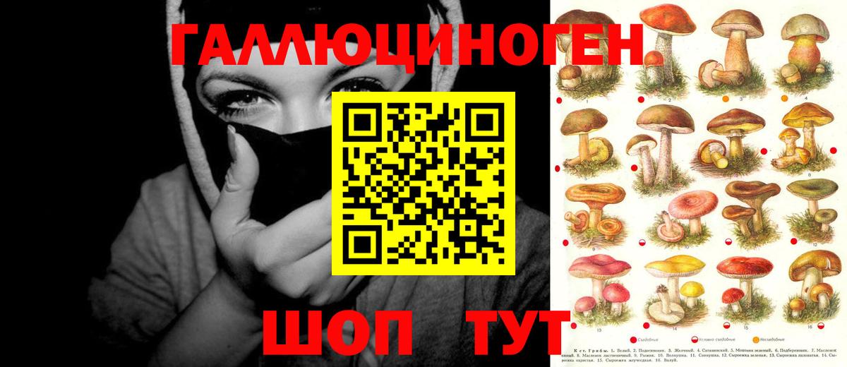 Псилоцибиновые грибы GOLDEN TEACHER  Вход с VPN  Кропоткин 