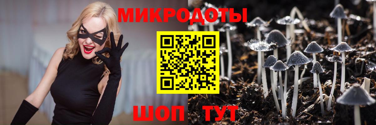 Псилоцибиновые грибы мухоморы Кропоткин